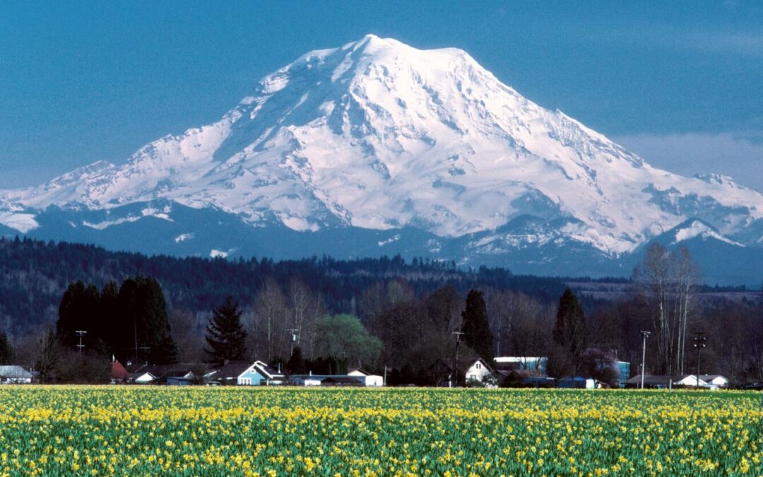 What You Need to Know Before Climbing Mount Rainier
